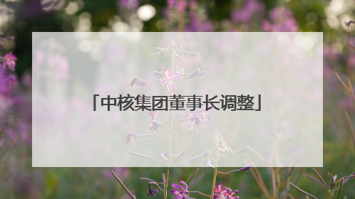 中核集团董事长调整