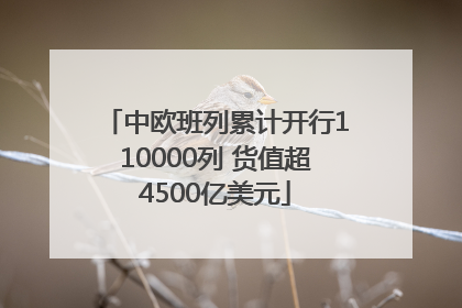 中欧班列累计开行110000列 货值超4500亿美元