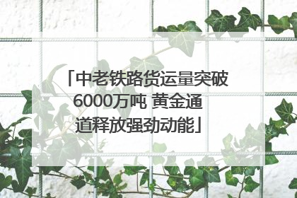 中老铁路货运量突破6000万吨 黄金通道释放强劲动能