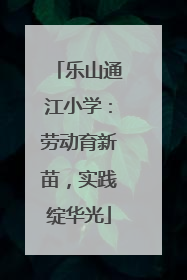 乐山通江小学：劳动育新苗，实践绽华光