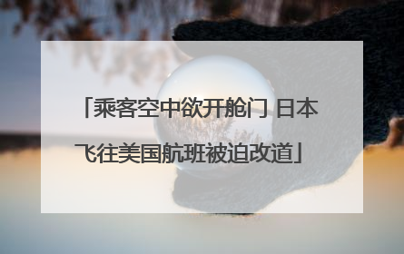 乘客空中欲开舱门 日本飞往美国航班被迫改道