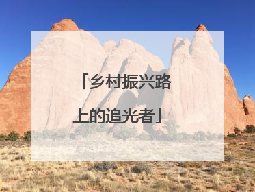 乡村振兴路上的追光者