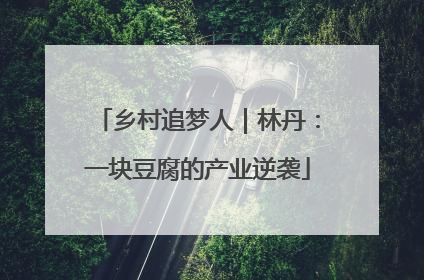 乡村追梦人｜林丹：一块豆腐的产业逆袭