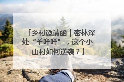 乡村邀请函｜密林深处“羊咩咩”，这个小山村如何逆袭？