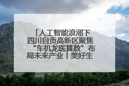 人工智能浪潮下 四川自贡高新区聚焦“车机龙医算数”布局未来产业丨美好生活有“盐”味