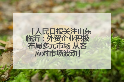 人民日报关注山东临沂：外贸企业积极布局多元市场 从容应对市场波动
