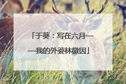 于葵：写在六月——我的外婆林徽因