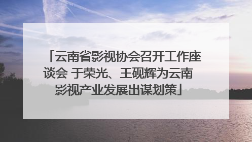 云南省影视协会召开工作座谈会 于荣光、王砚辉为云南影视产业发展出谋划策