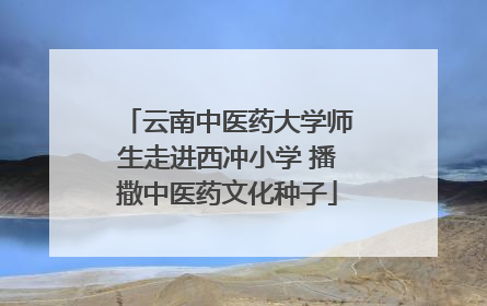 云南中医药大学师生走进西冲小学 播撒中医药文化种子