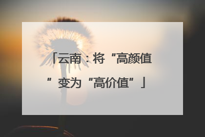 云南：将“高颜值”变为“高价值”