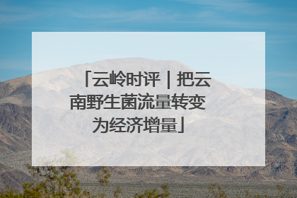 云岭时评｜把云南野生菌流量转变为经济增量