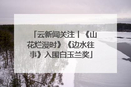 云新闻关注丨《山花烂漫时》《边水往事》入围白玉兰奖