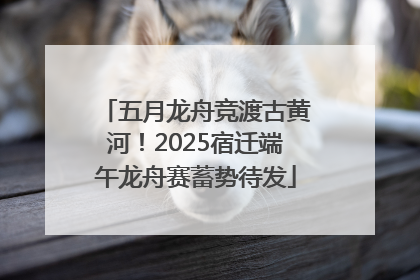 五月龙舟竞渡古黄河！2025宿迁端午龙舟赛蓄势待发