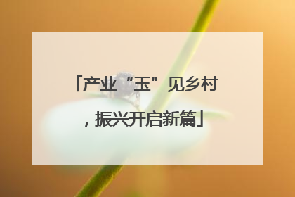 产业“玉”见乡村，振兴开启新篇