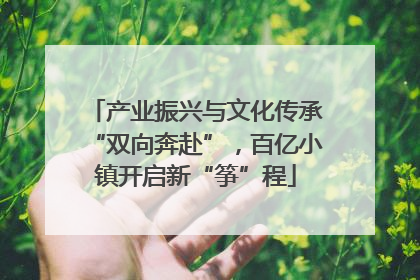 产业振兴与文化传承“双向奔赴”，百亿小镇开启新“筝”程