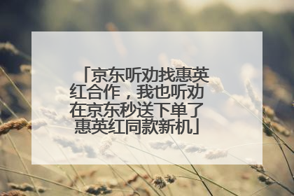 京东听劝找惠英红合作，我也听劝在京东秒送下单了惠英红同款新机