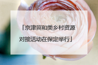 京津冀和美乡村资源对接活动在保定举行