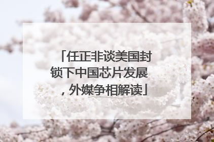 任正非谈美国封锁下中国芯片发展，外媒争相解读