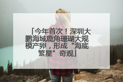 今年首次！深圳大鹏海域鹿角珊瑚大规模产卵，形成“海底繁星”奇观
