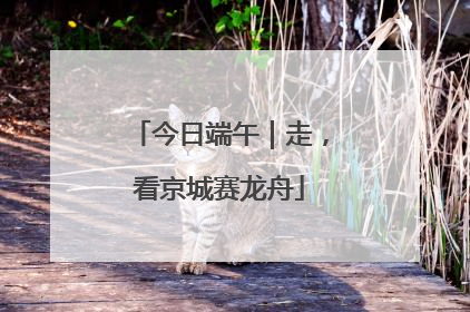 今日端午｜走，看京城赛龙舟