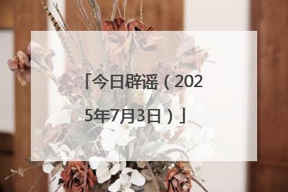 今日辟谣（2025年7月3日）