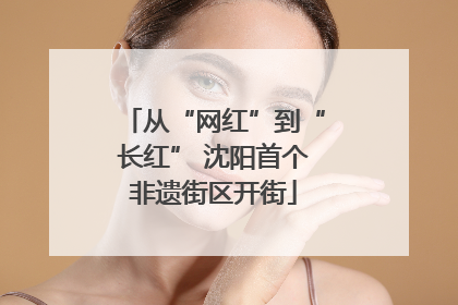 从“网红”到“长红” 沈阳首个非遗街区开街