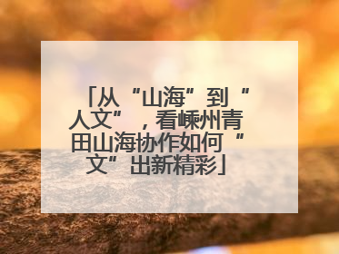 从“山海”到“人文”，看嵊州青田山海协作如何“文”出新精彩