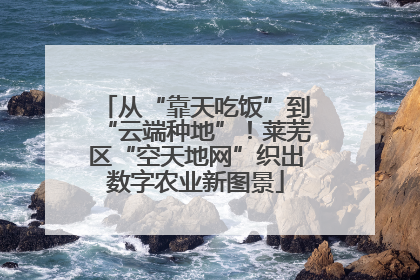 从“靠天吃饭”到“云端种地”！莱芜区“空天地网”织出数字农业新图景