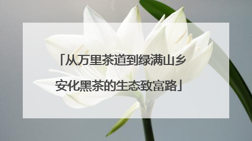 从万里茶道到绿满山乡 安化黑茶的生态致富路