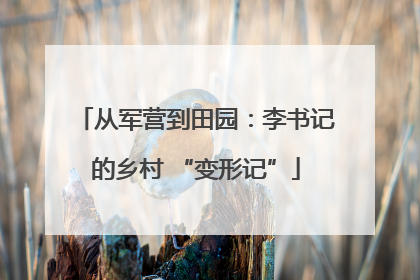 从军营到田园：李书记的乡村 “变形记”