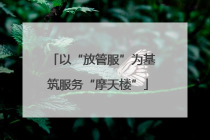 以“放管服”为基筑服务“摩天楼”