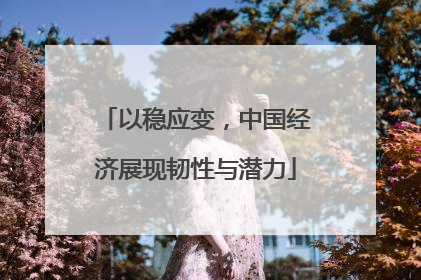 以稳应变，中国经济展现韧性与潜力