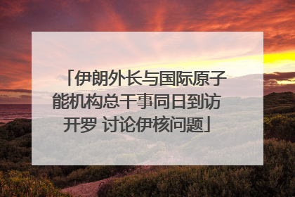 伊朗外长与国际原子能机构总干事同日到访开罗 讨论伊核问题