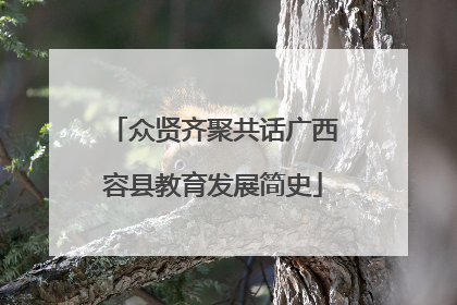 众贤齐聚共话广西容县教育发展简史