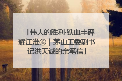 伟大的胜利·铁血丰碑耀江淮⑥｜茅山工委副书记洪天诚的亲笔信