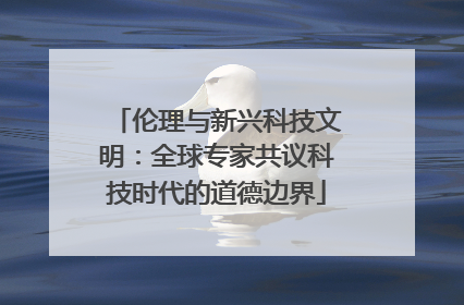 伦理与新兴科技文明：全球专家共议科技时代的道德边界