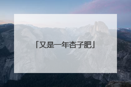 又是一年杏子肥