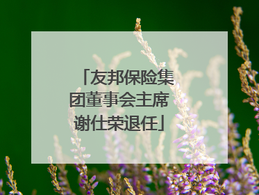 友邦保险集团董事会主席谢仕荣退任