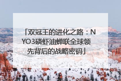 双冠王的进化之路：NYO3磷虾油蝉联全球领先背后的战略密码
