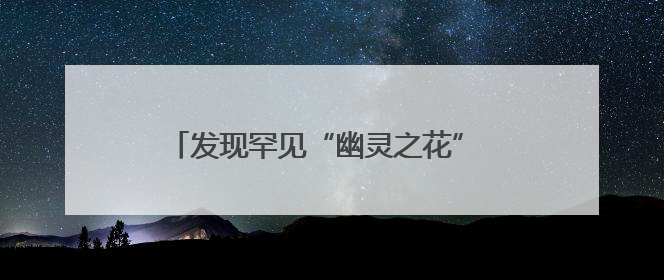 发现罕见“幽灵之花” 贵州植物家族再添新成员