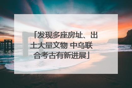 发现多座房址、出土大量文物 中乌联合考古有新进展