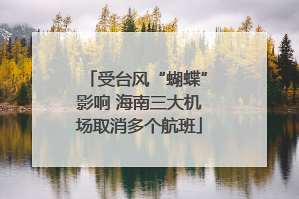 受台风“蝴蝶”影响 海南三大机场取消多个航班
