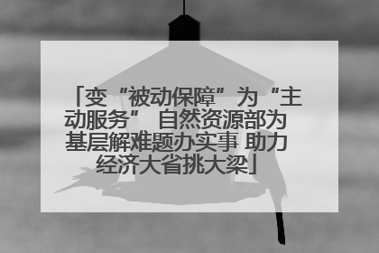 变“被动保障”为“主动服务” 自然资源部为基层解难题办实事 助力经济大省挑大梁
