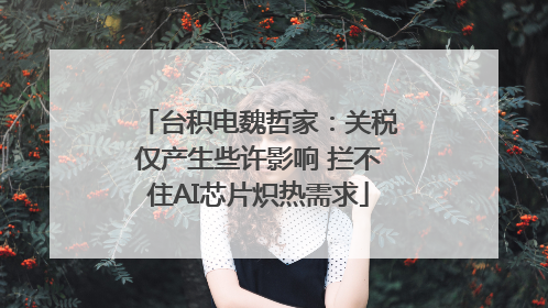 台积电魏哲家：关税仅产生些许影响 拦不住AI芯片炽热需求