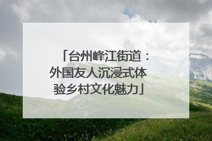 台州峰江街道：外国友人沉浸式体验乡村文化魅力