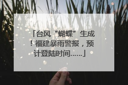 台风“蝴蝶”生成！福建暴雨警报，预计登陆时间……