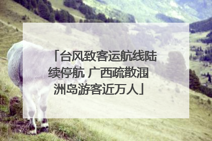 台风致客运航线陆续停航 广西疏散涠洲岛游客近万人
