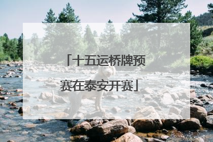 十五运桥牌预赛在泰安开赛