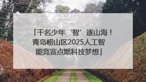 千名少年‘智’逐山海！青岛崂山区2025人工智能竞赛点燃科技梦想