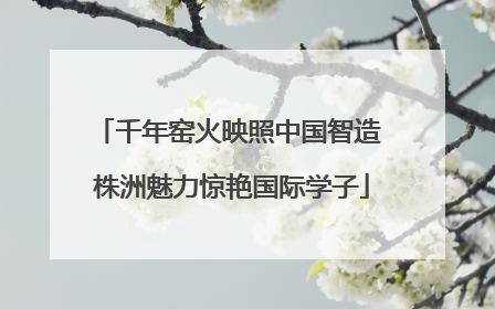 千年窑火映照中国智造 株洲魅力惊艳国际学子